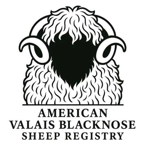 AVBSR